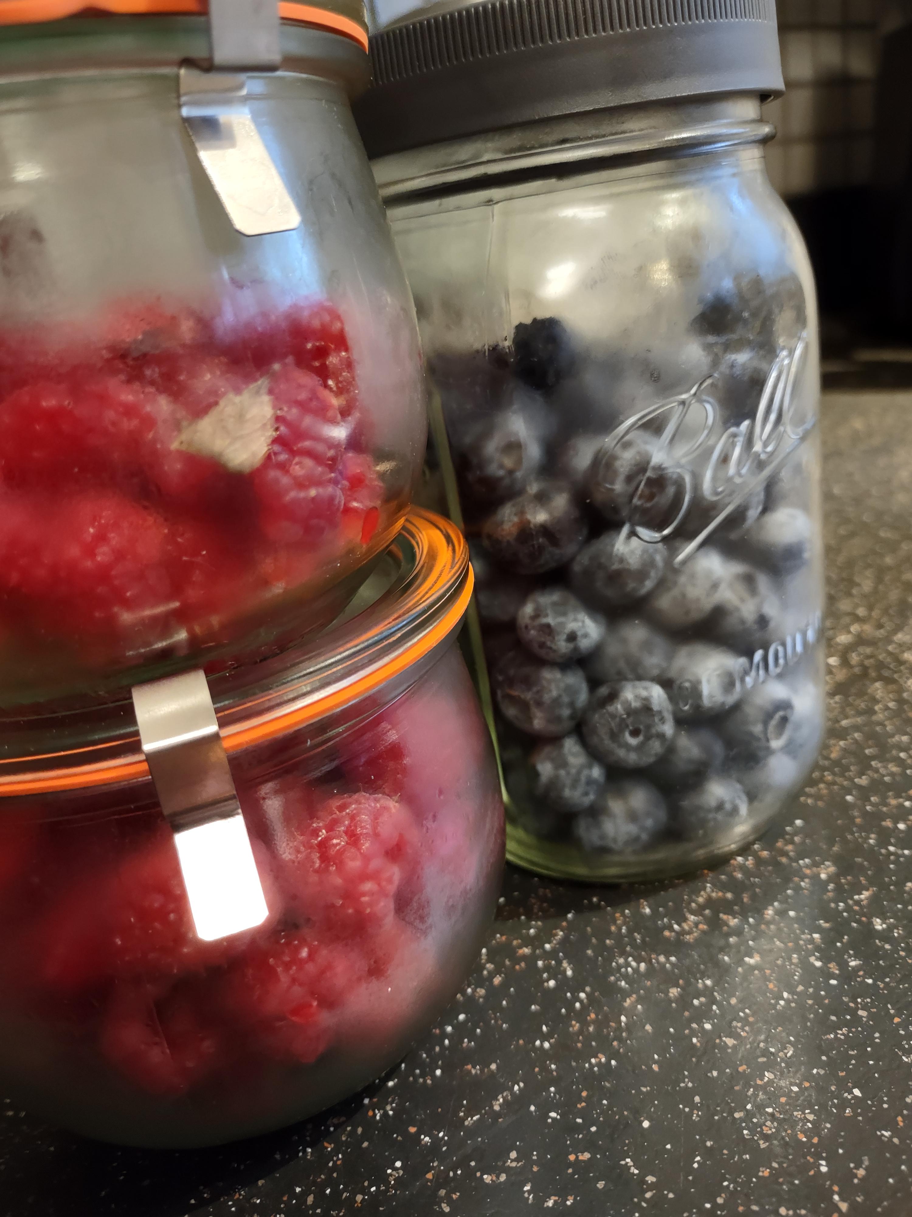 Creating Life in Little Alchemy
